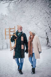 Elegantes älteres Paar, das mit dem Schlitten im verschneiten Park spazieren geht, während eines kalten, verschneiten Wintertages. Älteres Paar, das Winterurlaub in den Bergen verbringt. Winterliche Landschaft. - HPIF34489