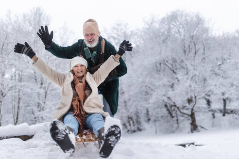 Senior couple having fun during cold winter day, sledding down the hill. Senior woman on sled. Elderly couple spending winter vacation in the mountains. Wintry landscape. - HPIF34500