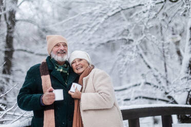 Elegant senior couple having hot tea outdoors, during cold winter snowy day. Elderly couple spending winter vacation in the mountains. Wintry landscape. - HPIF34506