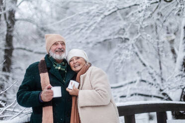 Elegantes älteres Paar, das im Freien einen heißen Tee trinkt, während eines kalten, verschneiten Wintertages. Älteres Paar, das seinen Winterurlaub in den Bergen verbringt. Winterliche Landschaft. - HPIF34506