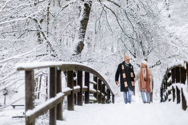 Elegantes älteres Paar, das im verschneiten Park spazieren geht, während eines kalten, verschneiten Wintertages. Älteres Paar, das Winterurlaub in den Bergen verbringt. Winterliche Landschaft. - HPIF34512