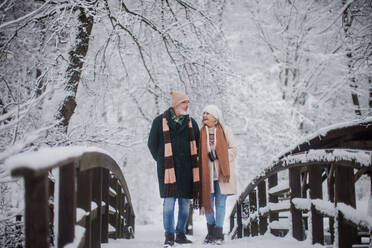 Elegantes älteres Paar, das im verschneiten Park spazieren geht, während eines kalten, verschneiten Wintertages. Älteres Paar, das Winterurlaub in den Bergen verbringt. Winterliche Landschaft. - HPIF34513