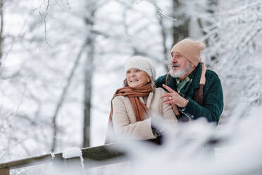 Elegantes älteres Paar, das im verschneiten Park spazieren geht, während eines kalten, verschneiten Wintertages. Älteres Paar, das von einer Brücke aus den Blick auf einen zugefrorenen See genießt. Winterliche Landschaft. - HPIF34516