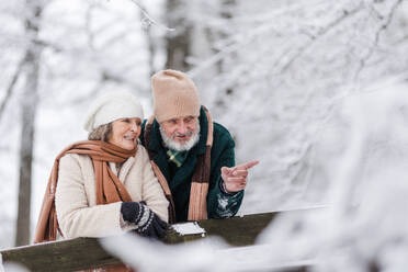 Elegantes älteres Paar, das im verschneiten Park spazieren geht, während eines kalten, verschneiten Wintertages. Älteres Paar, das von einer Brücke aus den Blick auf einen zugefrorenen See genießt. Winterliche Landschaft. - HPIF34517