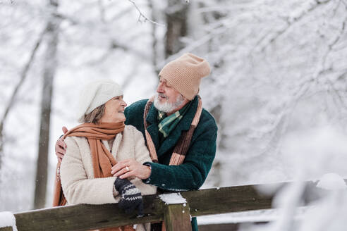 Elegantes älteres Paar, das im verschneiten Park spazieren geht, während eines kalten, verschneiten Wintertages. Älteres Paar, das von einer Brücke aus den Blick auf einen zugefrorenen See genießt. Winterliche Landschaft. - HPIF34518