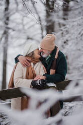 Elegantes älteres Paar, das sich im verschneiten Park küsst, während eines kalten, verschneiten Wintertages. Älteres Paar, das Winterurlaub in den Bergen verbringt. Winterliche Landschaft. - HPIF34519