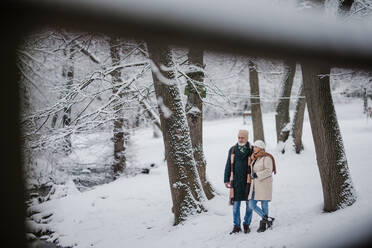 Elegantes älteres Paar, das im verschneiten Park spazieren geht, während eines kalten, verschneiten Wintertages. Älteres Paar, das Winterurlaub in den Bergen verbringt. Winterliche Landschaft. - HPIF34521