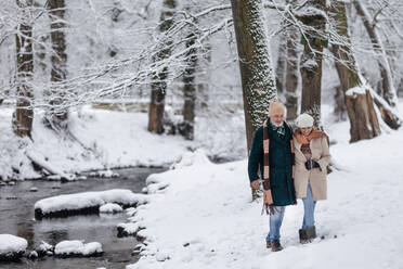 Elegantes älteres Paar, das im verschneiten Park spazieren geht, während eines kalten, verschneiten Wintertages. Älteres Paar, das Winterurlaub in den Bergen verbringt. Winterliche Weihnachtslandschaft. - HPIF34522