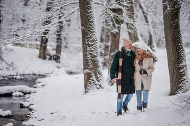 Elegantes älteres Paar, das im verschneiten Park spazieren geht, während eines kalten, verschneiten Wintertages. Älteres Paar, das Winterurlaub in den Bergen verbringt. Winterliche Landschaft. - HPIF34523