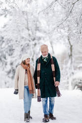 Elegantes älteres Paar, das im verschneiten Park spazieren geht, während eines kalten, verschneiten Wintertages. Älteres Paar, das Winterurlaub in den Bergen verbringt. Winterliche Landschaft. - HPIF34526