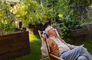 Porträt eines lächelnden älteren Mannes, der sich nach der Pflege von Gemüsepflanzen im städtischen Garten ausruht. Städtische Gartenarbeit im Gemeinschaftsgarten macht einen Rentner glücklich und heilt seine Depression. - HPIF34553