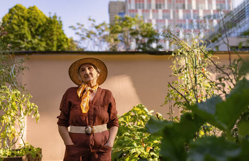 Porträt einer selbstbewussten älteren Frau im städtischen Garten, die sich um die Tomatenpflanzen im Gemeinschaftsgarten ihrer Wohnanlage kümmert. - HPIF34558