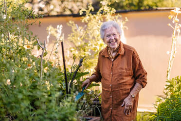 Porträt einer älteren Frau, die sich um Gemüsepflanzen in einem städtischen Garten kümmert. Ältere Dame gräbt Erde um und zupft Unkraut im Gemeinschaftsgarten in ihrer Wohnanlage heraus. Bewohner eines Pflegeheims bei der Gartenarbeit im Freien. - HPIF34561