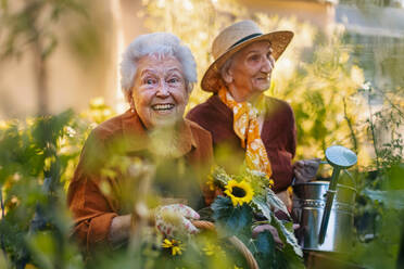 Portrait of senior friends taking care of vegetable plants in urban garden in the city. Pensioners spending time together gardening in community garden in their apartment complex. Nursing home residents gardening outdoors. Senior sisters have same hobby. - HPIF34563