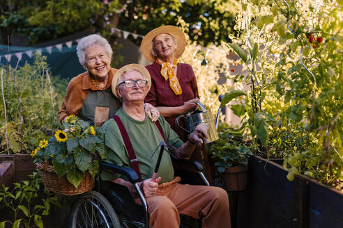 Porträt von älteren Freunden, die sich um Gemüsepflanzen in einem städtischen Garten kümmern. Rentner, die gemeinsam im Gemeinschaftsgarten ihrer Wohnanlage gärtnern. Bewohner eines Pflegeheims bei der Gartenarbeit im Freien. - HPIF34567