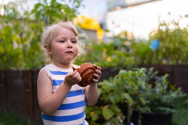 Ein kleines Mädchen isst draußen im Garten eine Zimtschnecke. Süßer Snack während einer Pause bei der Gartenarbeit. - HPIF34585