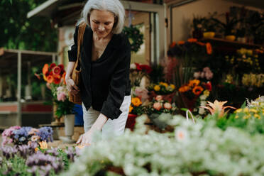 Porträt einer schönen reifen Frau, die auf einem Blumenmarkt in der Stadt einkauft. Frau mittleren Alters kauft frische Blumen, Blumenstrauß von einem Marktstand. - HPIF34729