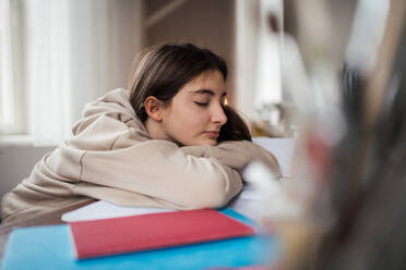 Teenager-Mädchen schläft beim Lernen im Zimmer ein. - HPIF34776