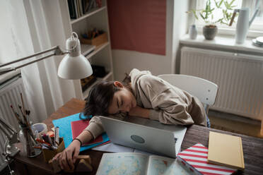 Junges Mädchen im Teenageralter, das in ihrem Zimmer lernt und Hausaufgaben macht. - HPIF34788