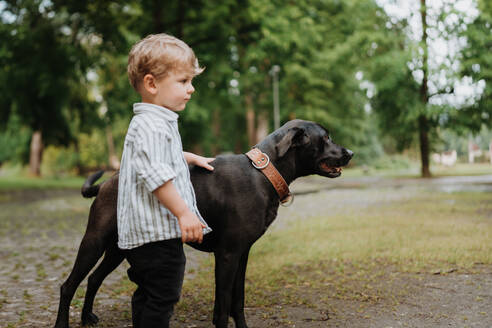 Kleiner Junge steht mit seinem großen Hund im Park. Schöne Beziehung zwischen jungen Kind und Hund besten Freund. - HPIF34887