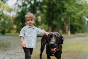 Little boy standing with his big dog in the park. Beautiful relationship between young kid and dog best friend. - HPIF34888