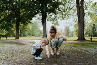 Single mother with little son spending together time in a public park. Working parent spending time with son after work day. Mother showing an insect on a pavement. - HPIF34890