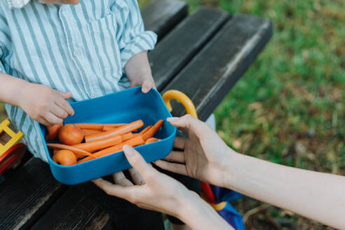 Roh gehackte Karotten und Aprikosen in der Brotdose. Eine Mutter mit einem gesunden Snack für ihre Kinder. Essen im Freien auf einer Parkbank. - HPIF34894