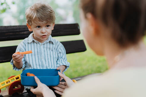 Niedlicher kleiner Junge, der auf einer Parkbank sitzend Karotten aus der Lunchbox isst. Mutter hält gesunden Snack für ihre Kinder. Essen im Freien im Stadtpark. - HPIF34895