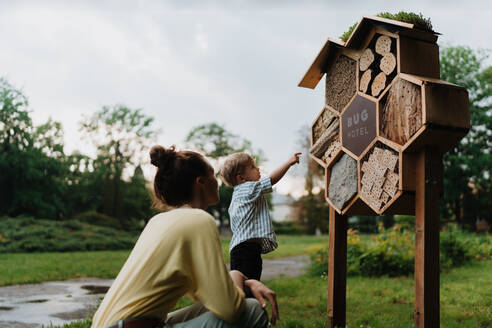 Eine Mutter zeigt ihrem verspielten Sohn ein Insektenhotel in einem öffentlichen Park. Ein kleiner Junge untersucht ein Insektenhotel und sucht nach Käfern, Marienkäfern oder Schmetterlingen. - HPIF34902