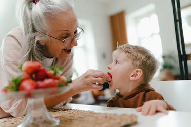 Großmutter schenkt ihrem Enkel selbst gepflückte Erdbeeren. - HPIF34909