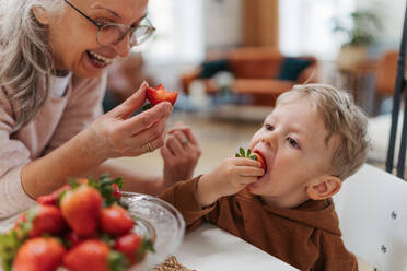 Grandmother giving homegrown strawberries to her grandson. - HPIF34913