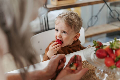 Großmutter schenkt ihrem Enkel selbst gepflückte Erdbeeren. Kleiner Junge isst frische Erdbeeren. - HPIF34914