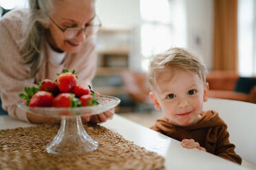 Großmutter schenkt ihrem Enkel selbst gepflückte Erdbeeren. - HPIF34916