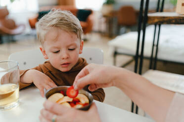 Kleiner Junge beim Obstsnack mit seiner Großmutter: Apfel und Erdbeeren in der Brotdose. - HPIF34925