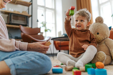 Großmutter spielt mit ihrem kleinen Enkel, der in seinem Zimmer ein Bauklötzchen-Set baut. - HPIF34935