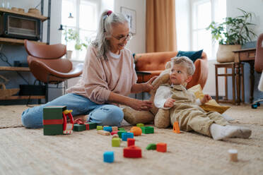 Großmutter spielt mit ihrem kleinen Enkel, der in seinem Zimmer ein Bauklötzchen-Set baut. - HPIF34946