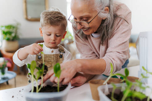 Großmutter mit ihrem Enkel beim Pflanzen von Gemüse und Blumen, im Frühling. - HPIF34967