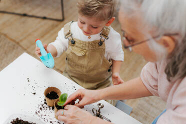 Grandmother with her grandson planting vegetables and flowers, spring time. - HPIF34977