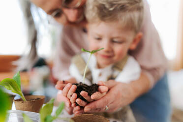 Grandmother with her grandson planting vegetables and flowers, spring time. - HPIF34982