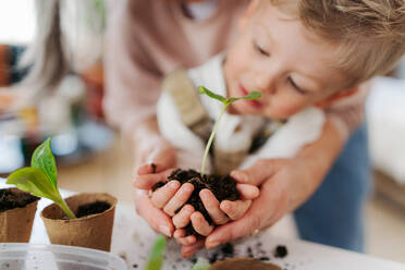 Grandmother with her grandson planting vegetables and flowers, spring time. - HPIF34983