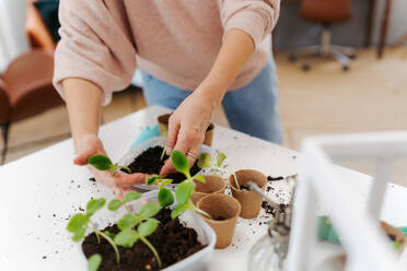 Grandmother with her grandson planting vegetables and flowers, spring time. - HPIF34986