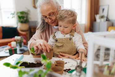 Großmutter mit ihrem Enkel beim Pflanzen von Gemüse und Blumen, im Frühling. - HPIF34988