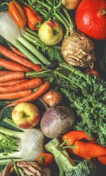 Verschiedene Erntegemüse aus dem Garten: grüne Bohnen, Kürbis, Äpfel, Brokkoli, Karotten, Grünkohl, Fenchel, Paprika. Ansicht von oben - ADSF50339