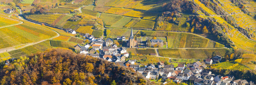 Germany, Rhineland-Palatinate, Eifel, Mayschoss, Panoramic view of village surrounded by vineyards in autumn - WGF01504