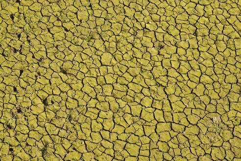 Germany, North Rhine Westphalia, Desiccated river bed in Eifel National Park - WIF04695