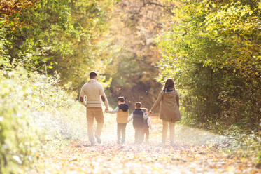 Schöne junge Familie bei einem Spaziergang im Wald. Mutter und Vater mit ihren drei Söhnen in warmer Kleidung draußen in der bunten Herbstnatur. Rückansicht. - HPIF35554