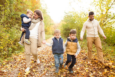 Schöne junge Familie auf einem Spaziergang im Wald. Mutter und Vater mit ihren drei Söhnen in warmer Kleidung draußen in der bunten Herbstnatur. - HPIF35557