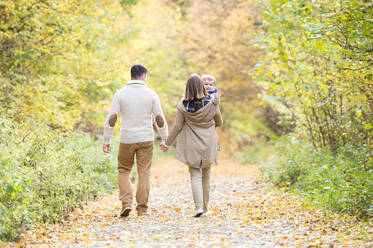 Schöne junge Familie bei einem Spaziergang im Wald. Mutter und Vater mit ihrem Sohn in warmer Kleidung draußen in der bunten Herbstnatur. Rückansicht. - HPIF35571