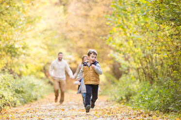 Schöne junge Familie auf einem Spaziergang im Wald. Mutter und Vater mit ihren drei Söhnen in warmer Kleidung draußen in der bunten Herbstnatur. - HPIF35572