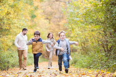 Schöne junge Familie auf einem Spaziergang im Wald. Mutter und Vater mit ihren drei Söhnen in warmer Kleidung draußen in der bunten Herbstnatur. - HPIF35573